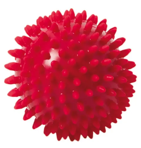 Igelball - Noppenball 2er Set, 2 Stück im Deko-Karton + Übungsanleitung