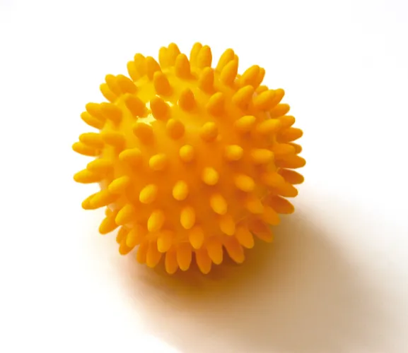 Igelball Sissel Spiky Ball