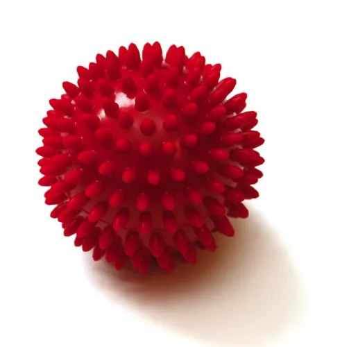 Igelball Sissel Spiky Ball